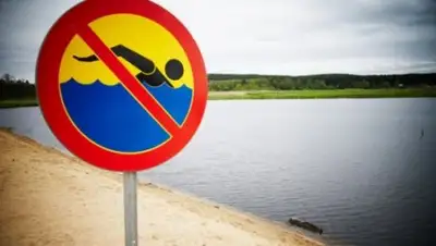 Zakon.kz, фото - Новости Zakon.kz от 22.05.2017 18:19