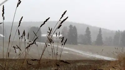 Дождь, мокрый снег, туман и сильный ветер прогнозируют в Казахстане