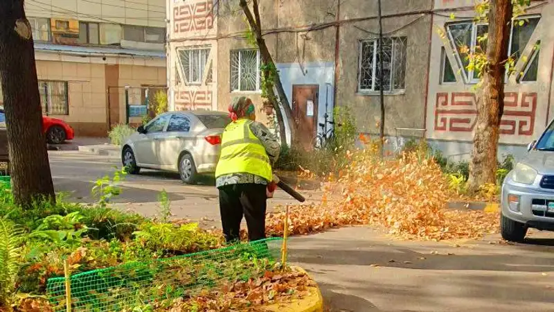 коммунальные службы, уборка листьев, фото - Новости Zakon.kz от 10.11.2023 17:05