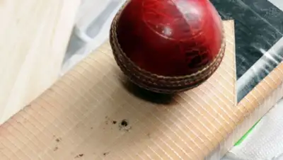 Zakon.kz, фото - Новости Zakon.kz от 30.11.2014 15:20