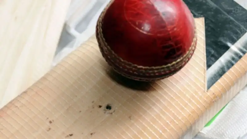 В Израиле арбитр погиб, получив травму крикетным мячом