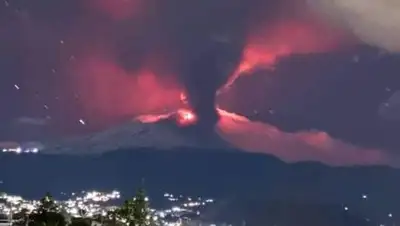 twitter.com/charlie14468503, фото - Новости Zakon.kz от 15.12.2020 01:26