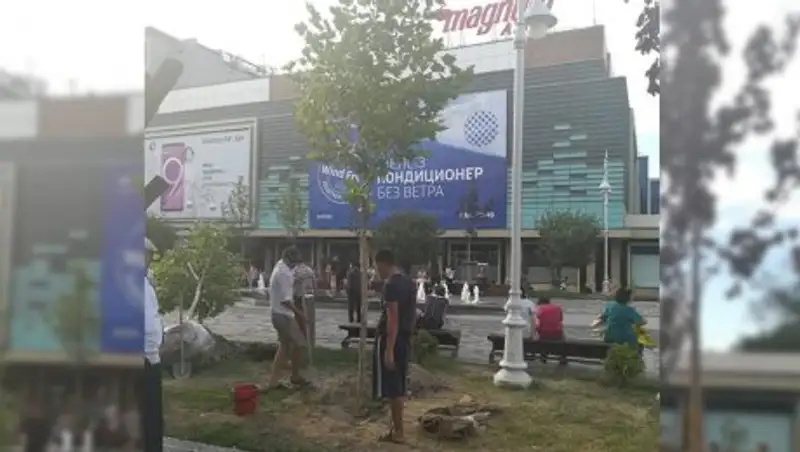 Владелец здания на Арбате объяснил причину незаконного спила деревьев