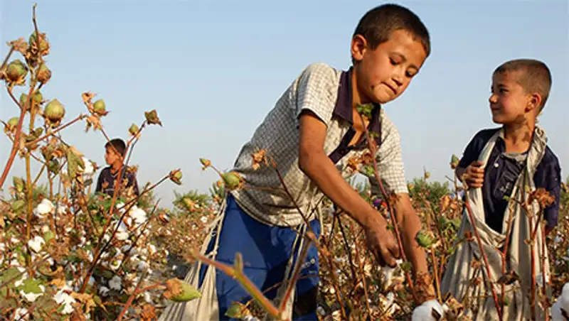 В ЮКО заработал завод по переработке хлопка
