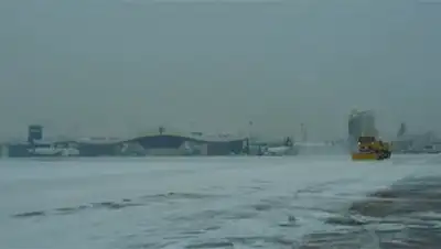 Zakon.kz, фото - Новости Zakon.kz от 24.01.2017 16:45