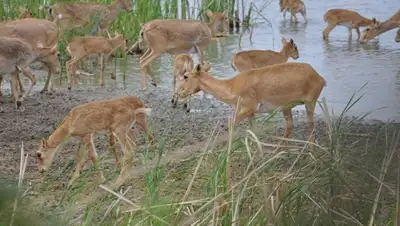 Zakon.kz, фото - Новости Zakon.kz от 01.06.2015 18:36