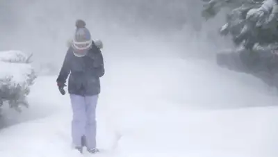 24.kz, фото - Новости Zakon.kz от 04.03.2019 17:00