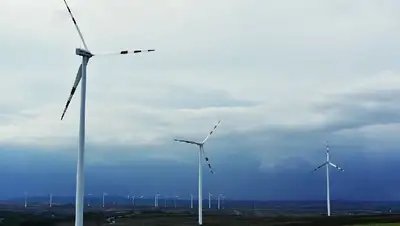 ветер, погода , фото - Новости Zakon.kz от 28.04.2022 14:58