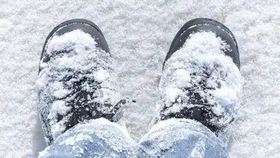 Zakon.kz, фото - Новости Zakon.kz от 17.11.2016 20:23