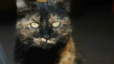 Zakon.kz, фото - Новости Zakon.kz от 06.08.2016 06:47