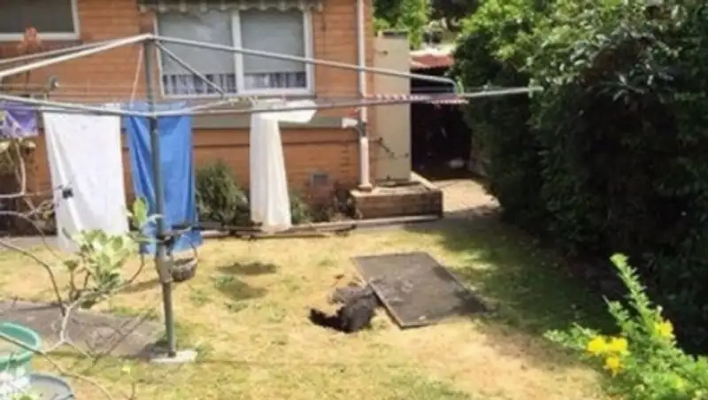Австралийка заработала проблемы с сердцем, провалившись под землю возле дома