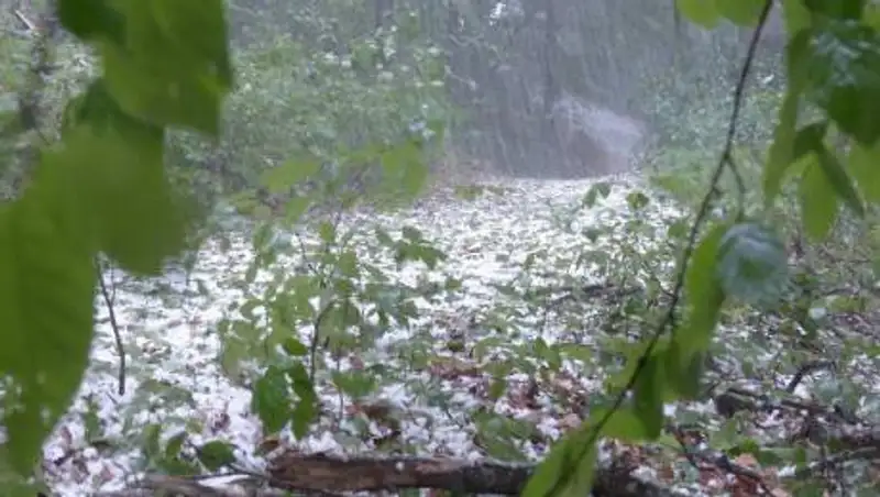 Град, ветер и гроза ожидаются в ряде регионов Казахстана