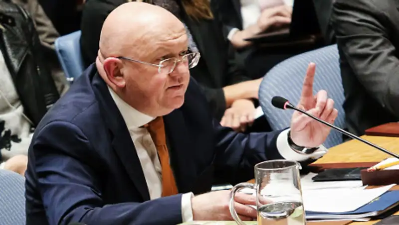 Россия в ООН заявила об отсутствии причин расследовать дело Навального