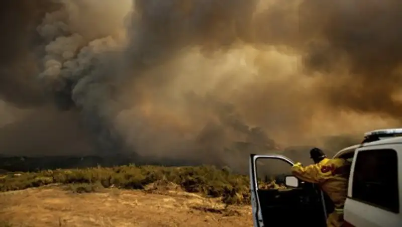 В Калифорнии пожары тушат более 14 тысяч спасателей