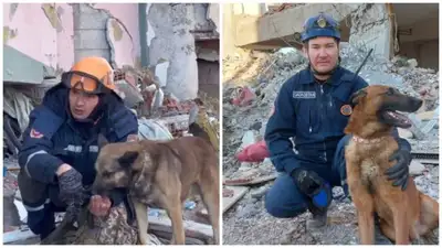 В МЧС назвали клички казахстанских собак-спасателей, отличившихся в Турции