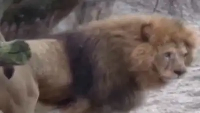 Zakon.kz, фото - Новости Zakon.kz от 02.06.2015 06:24