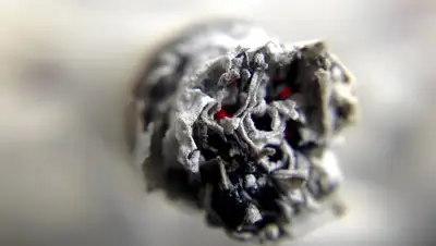 Pixabay, фото - Новости Zakon.kz от 13.04.2019 18:00