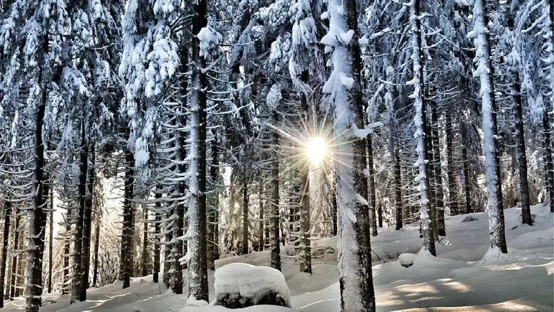 Сильный снег прогнозируют в Казахстане