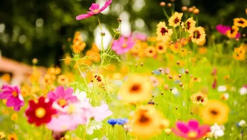 В Казахстане 6 июня ожидается погода без осадков