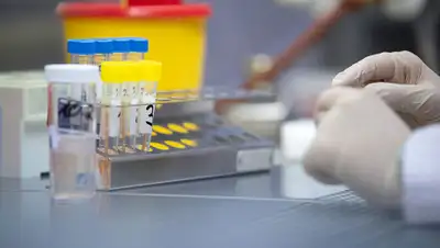 Sebastian Gollnow/ Global Look Press, фото - Новости Zakon.kz от 13.03.2020 15:10