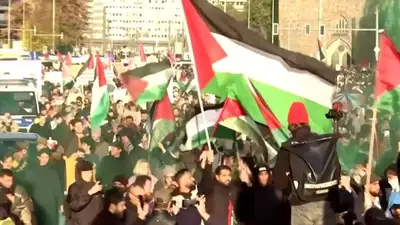 Пропалестинские митинги прошли в крупнейших городах Франции, Турции, США, Германии и Британии , фото - Новости Zakon.kz от 05.11.2023 06:34