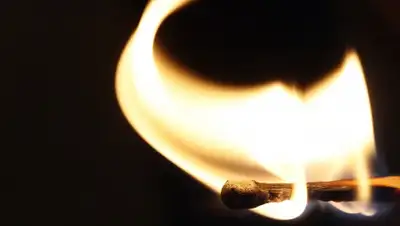 Darakchi, фото - Новости Zakon.kz от 21.08.2019 19:48