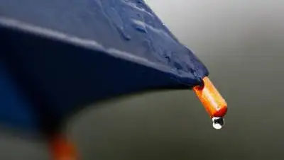 pixabay.com, фото - Новости Zakon.kz от 14.09.2021 17:25