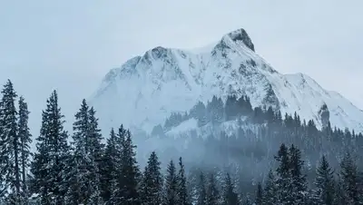 туман в горах, фото - Новости Zakon.kz от 18.01.2022 13:37