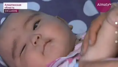 Zakon.kz, фото - Новости Zakon.kz от 02.07.2017 06:40