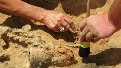 Zakon.kz, фото - Новости Zakon.kz от 19.04.2015 18:17