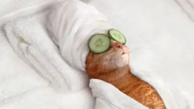 Zakon.kz, фото - Новости Zakon.kz от 23.09.2017 17:24