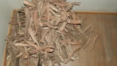 Zakon.kz, фото - Новости Zakon.kz от 06.10.2015 02:31