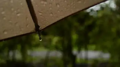 inform.kz, фото - Новости Zakon.kz от 30.07.2018 09:30