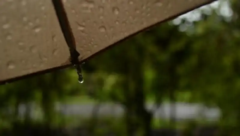 Дожди и грозы пройдут в Казахстане