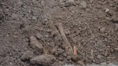 Zakon.kz, фото - Новости Zakon.kz от 28.12.2016 16:15