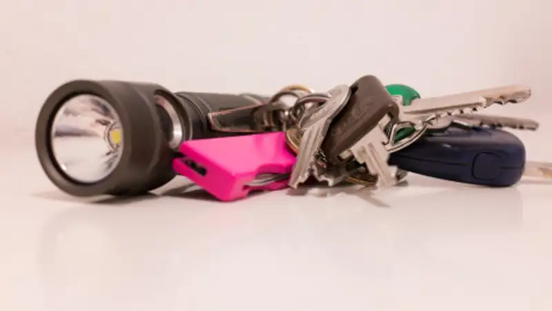 Бывшая домработница "вычистила" квартиру на 11 миллионов тенге