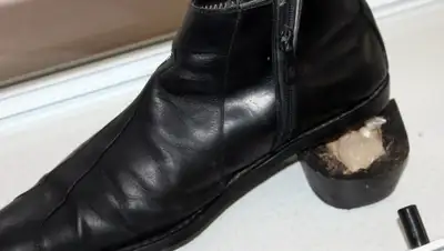 Zakon.kz, фото - Новости Zakon.kz от 11.11.2014 17:43