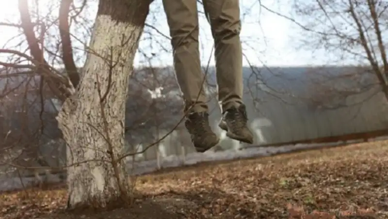 В Усть-Каменогорске мужчина повесился на ветке дерева возле школы