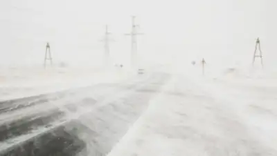 ogirk.ru, фото - Новости Zakon.kz от 21.12.2019 22:40