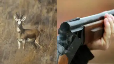 Baku.ws, фото - Новости Zakon.kz от 14.04.2018 15:52