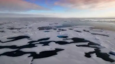 Исторического минимума достигла площадь льда Антарктиды, фото - Новости Zakon.kz от 11.03.2023 04:24