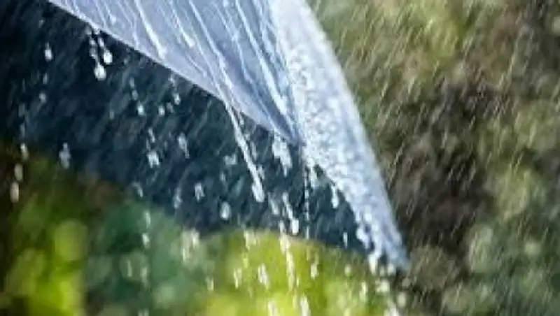 В Казахстане ожидаются кратковременные дожди с грозами