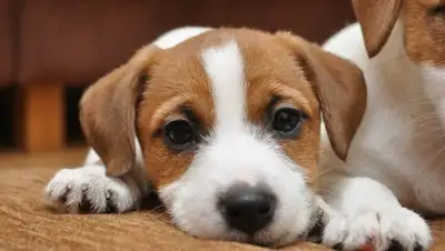 Youtube, фото - Новости Zakon.kz от 10.01.2020 22:30