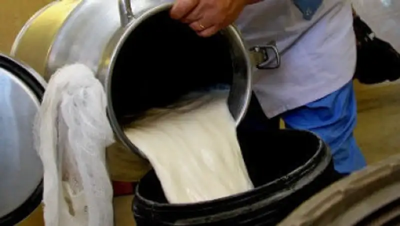 Россельхознадзор проанализирует рост поставок молока из Казахстана - Данкверт