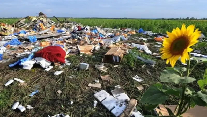 Происшествия и катастрофы, потрясшие мир в 2014 году