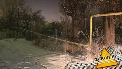 Zakon.kz, фото - Новости Zakon.kz от 18.01.2017 14:33