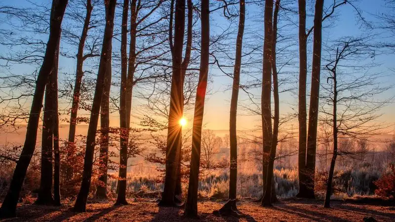 Чем грозит человеку дефицит солнечного света