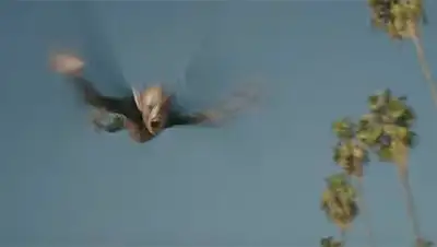 Zakon.kz, фото - Новости Zakon.kz от 21.07.2017 21:24