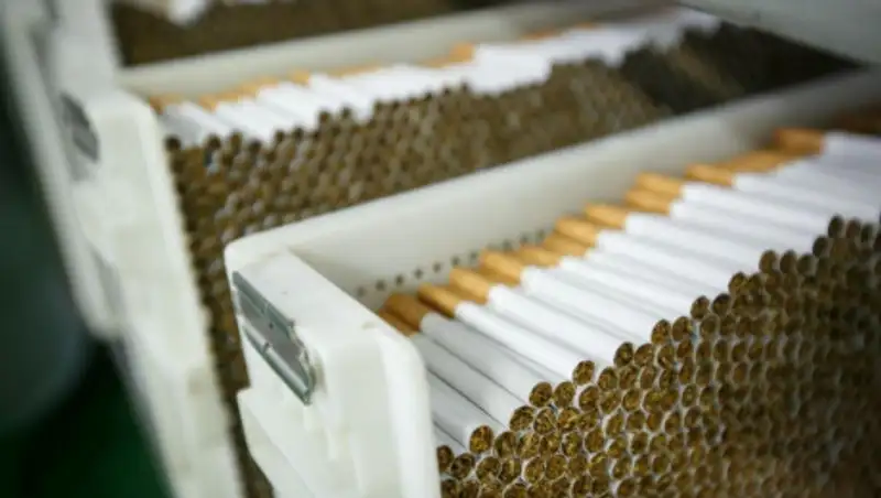 Крупные партии незадекларированных сигарет, гироскутеров и обуви выявили на Хоргосе