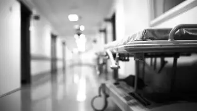 zakon.kz., фото - Новости Zakon.kz от 09.08.2020 11:18